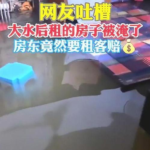 小南漂泊浪客爆料视频,视频内容深度解析